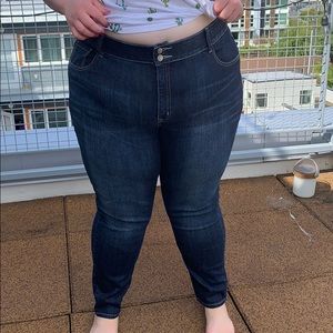 Lane Bryant High Rise Skinny Jeans
